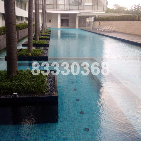 The Trumps (D14), Condominium #38517172